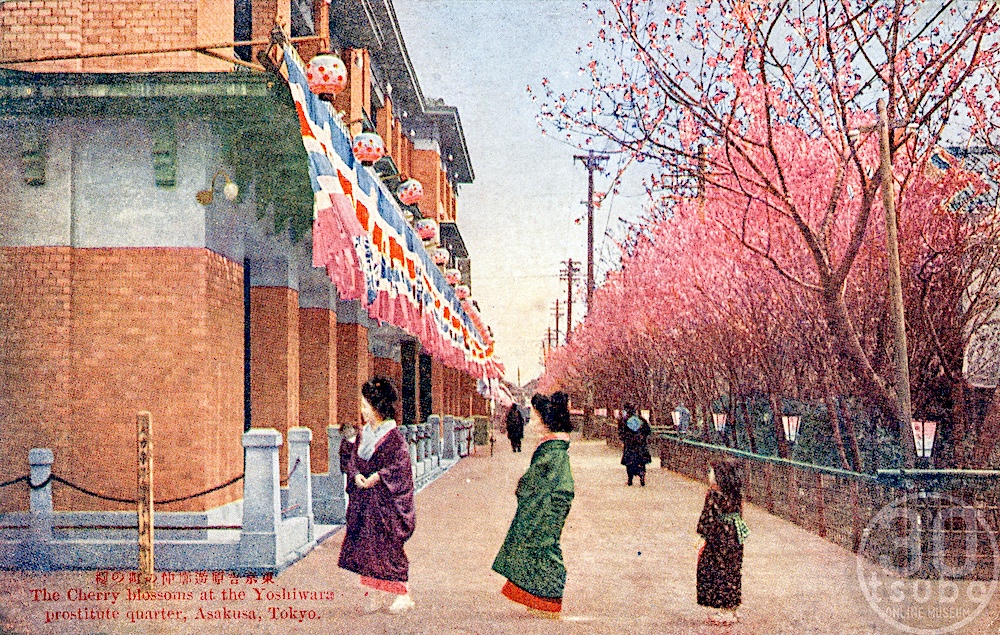 三十坪の秘密基地 tweet media