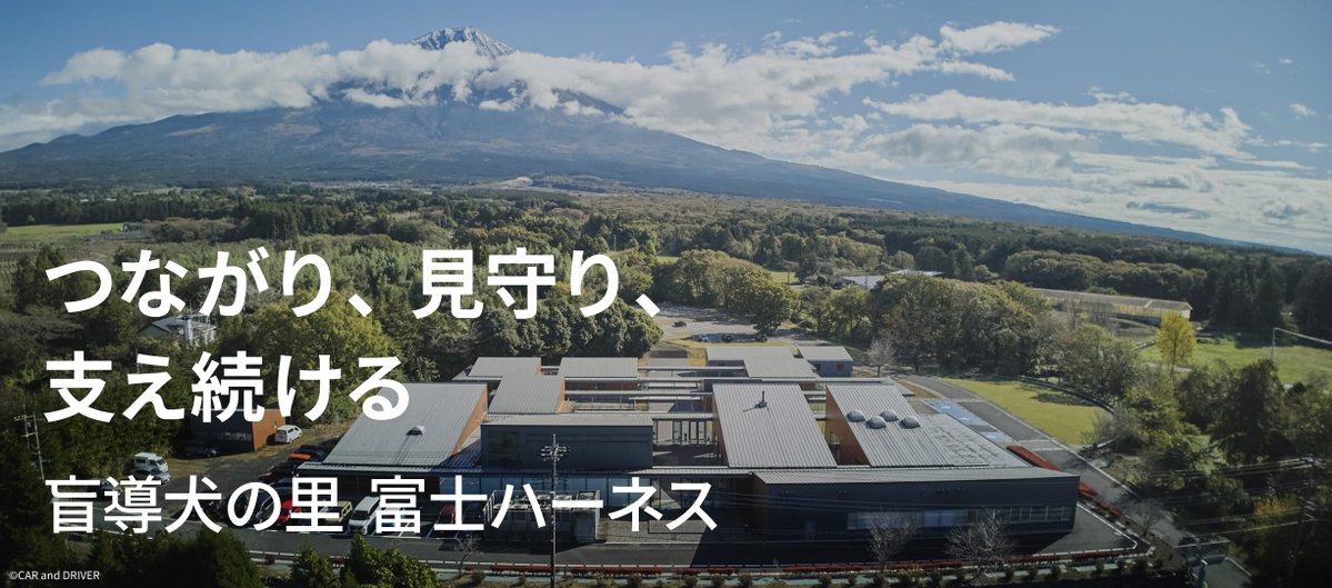 安藤ハザマ【公式】 tweet media