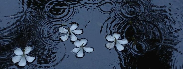 ࣪𓍢 ֶָ sana. 𖦹 tweet media