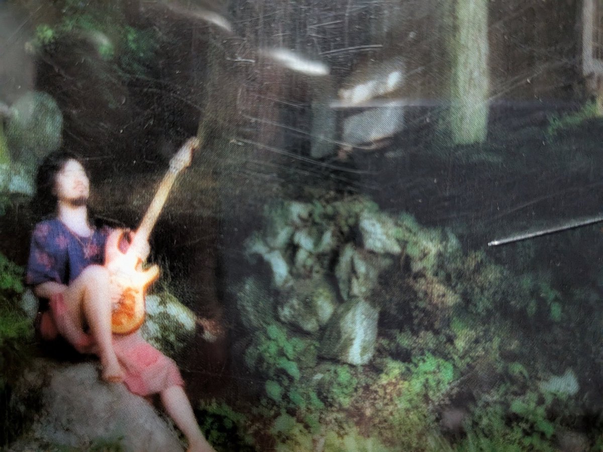 ネスラウド tweet media