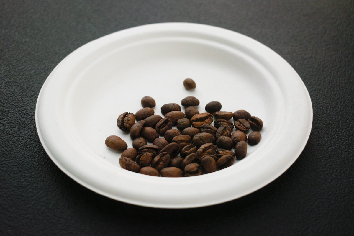 Sofía Navarro tweet media