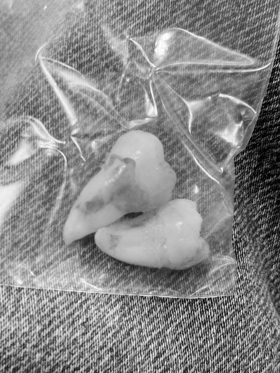 さかぐち ゆきえ(坂口 優希恵) tweet media