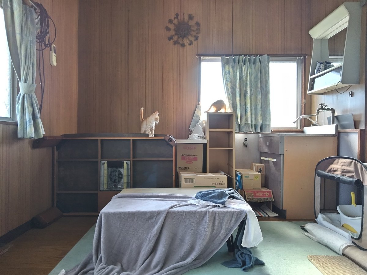 samuraidrive tweet media