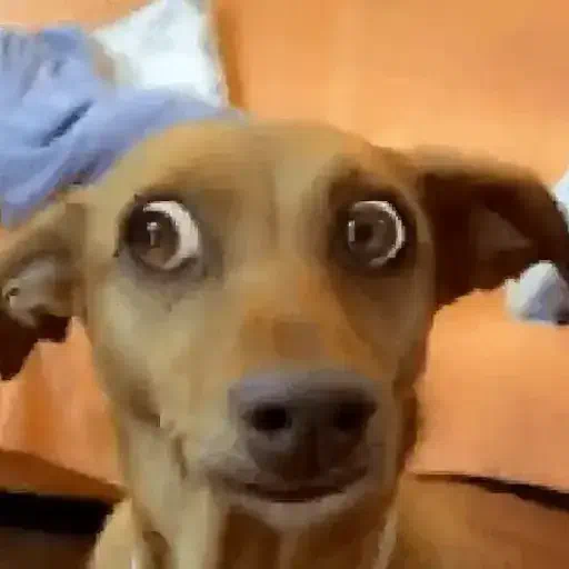 Dieguirrislol tweet media