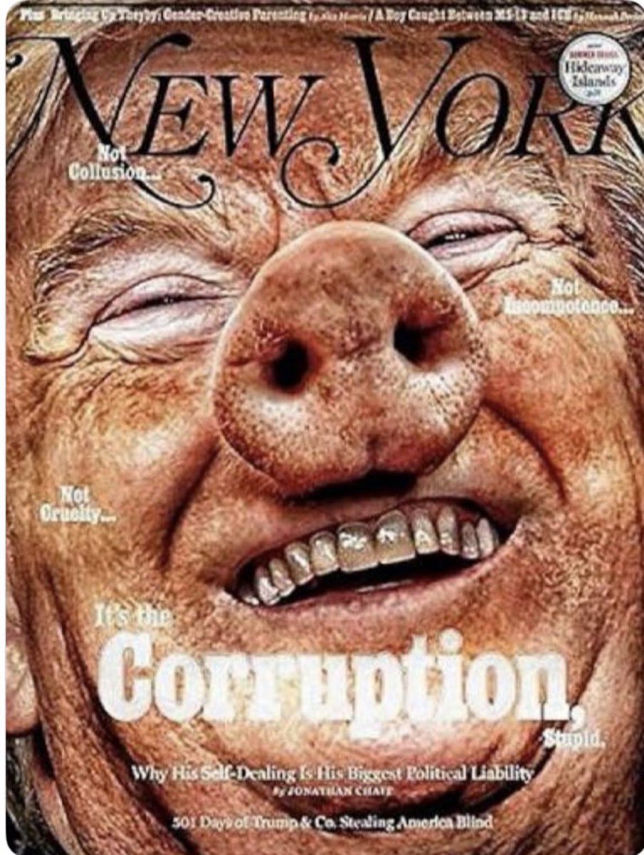 Federico M. Domínguez tweet media