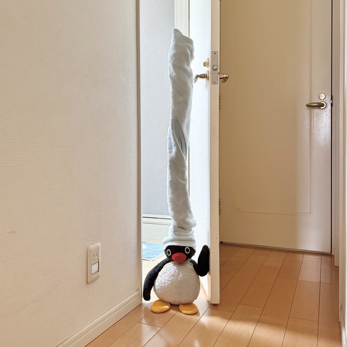 pingmyping tweet media