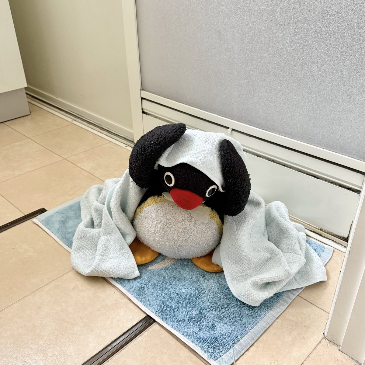 pingmyping tweet media