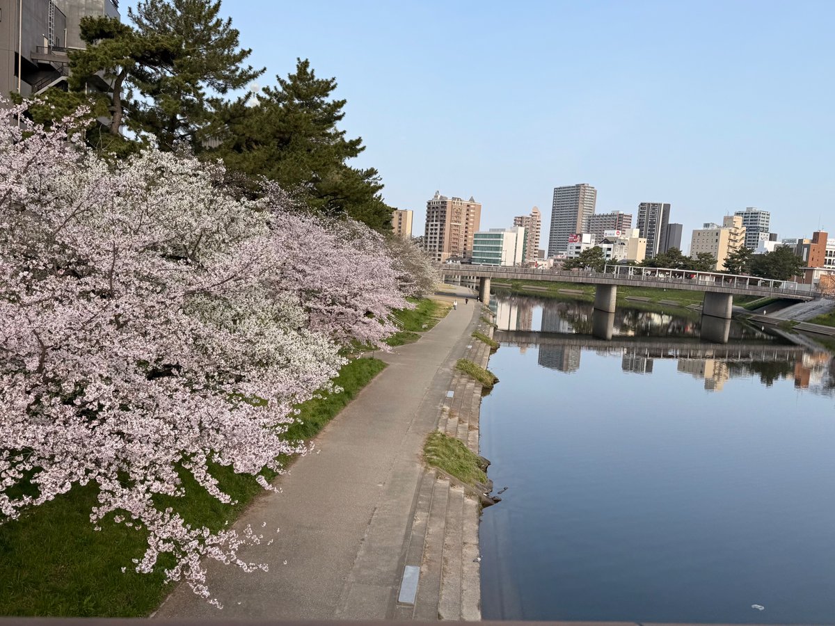 hatamado05's tweet photo. 🌸最近の出会い🌸

【はたらくの窓口 東岡崎校】は、東岡崎駅からまっすぐ乙川を越えたところに事業所を構えております✨

ただいま岡崎城〜乙川では桜まつりが開催中🌳🌸🍡
桜満開の景色を見て温かい気持ちになります🥰

明日から新年度✨
皆さんわくわくした気持ちで就活、就労できていますか？？☺️ https://t.co/dVvQQbWiw8