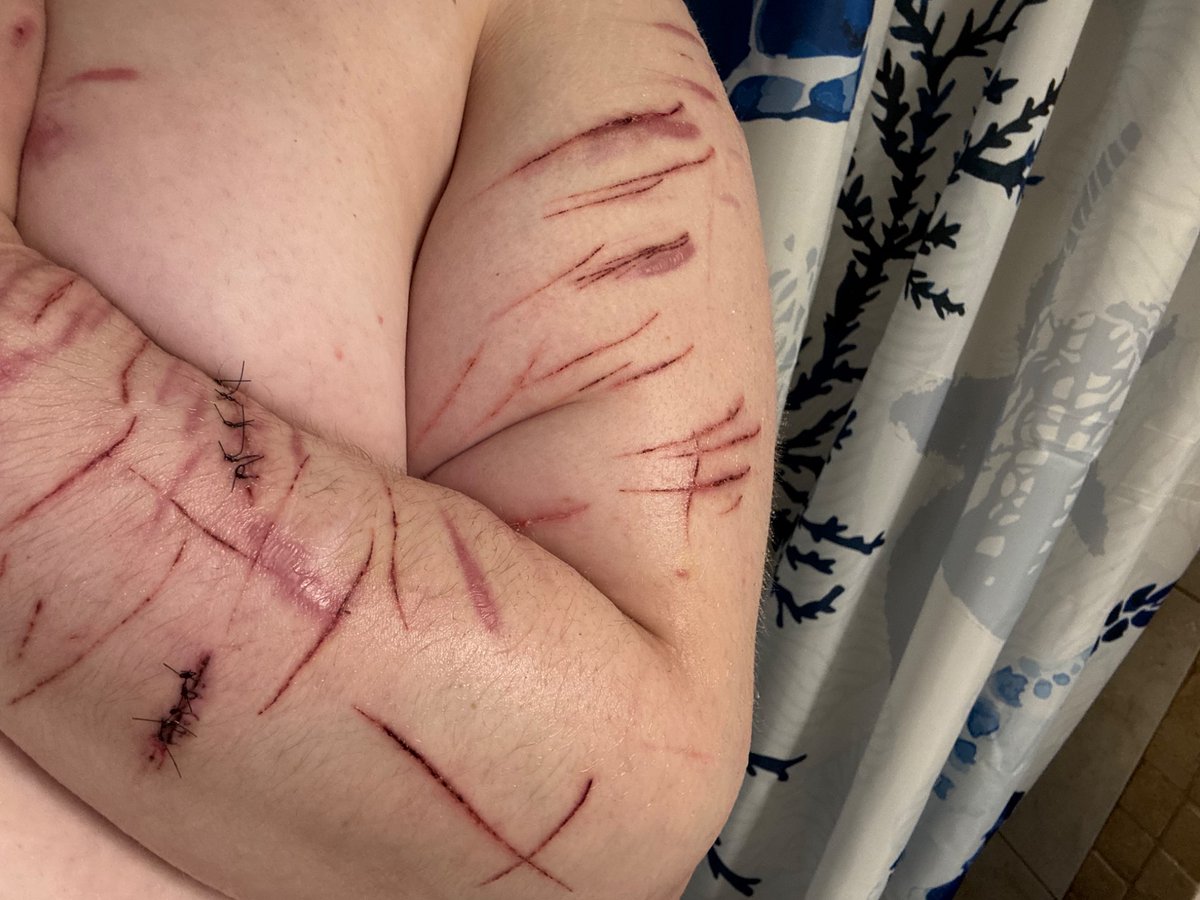 Fluttershy of SHEDtwt tweet media