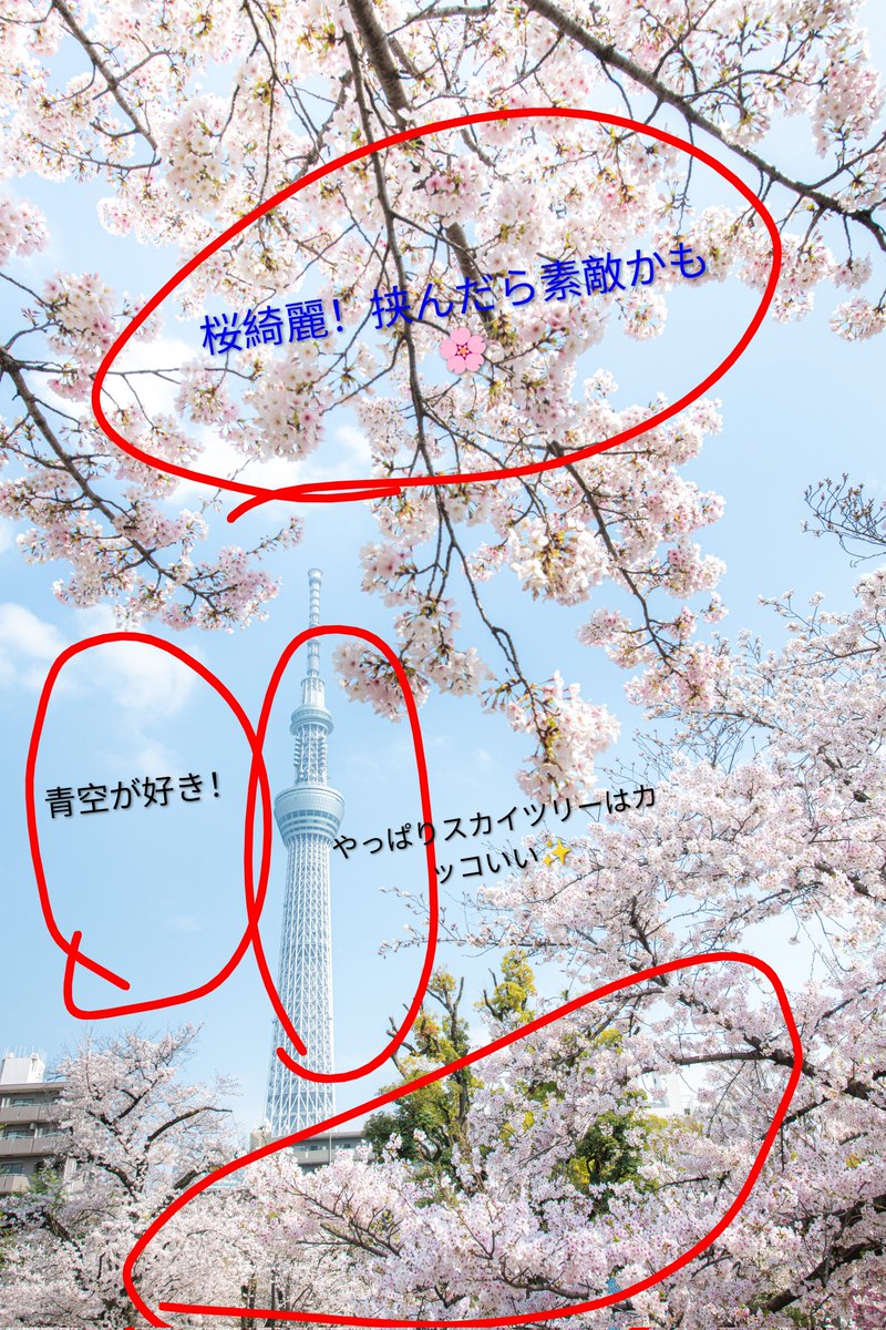 ハスカップ07 tweet media