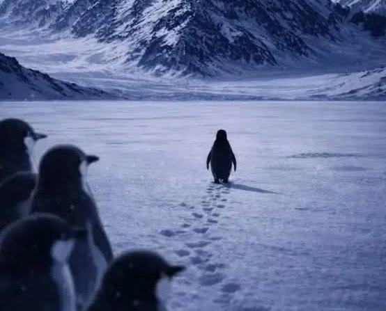 𝐂𝐑𝐈𝐒 tweet media