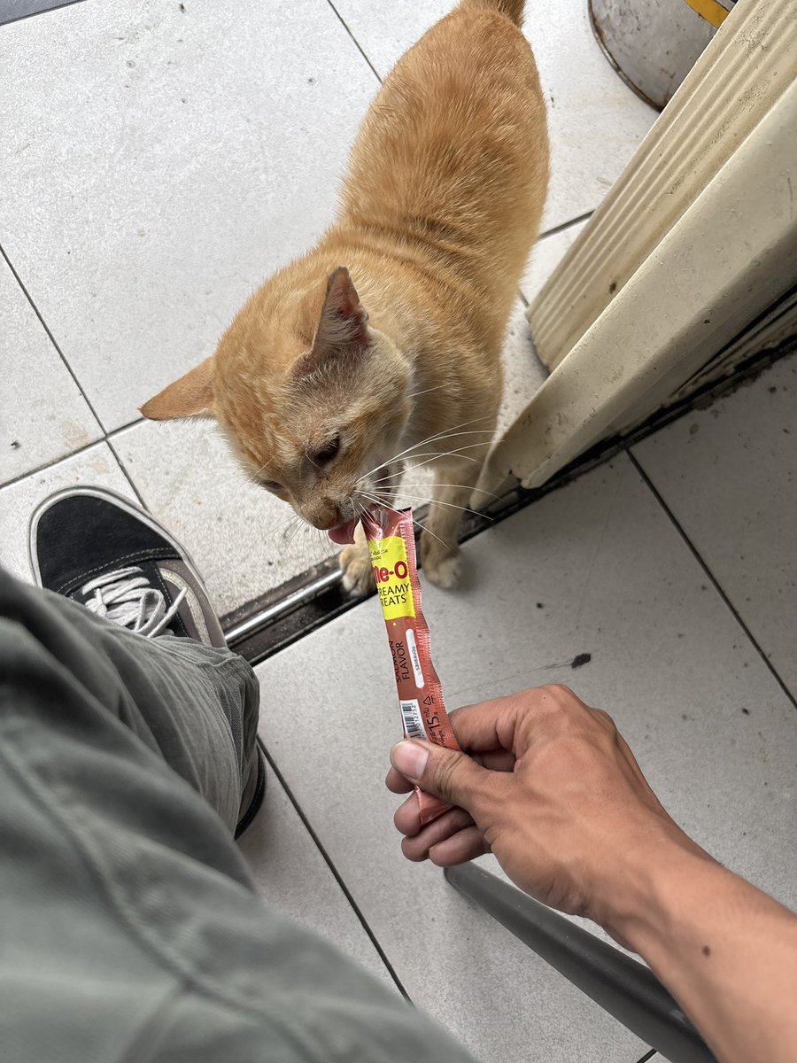 biji bijian tweet media