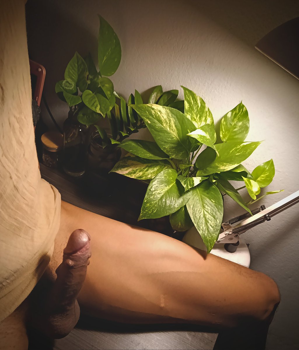 Drak'🖤🫂 tweet media