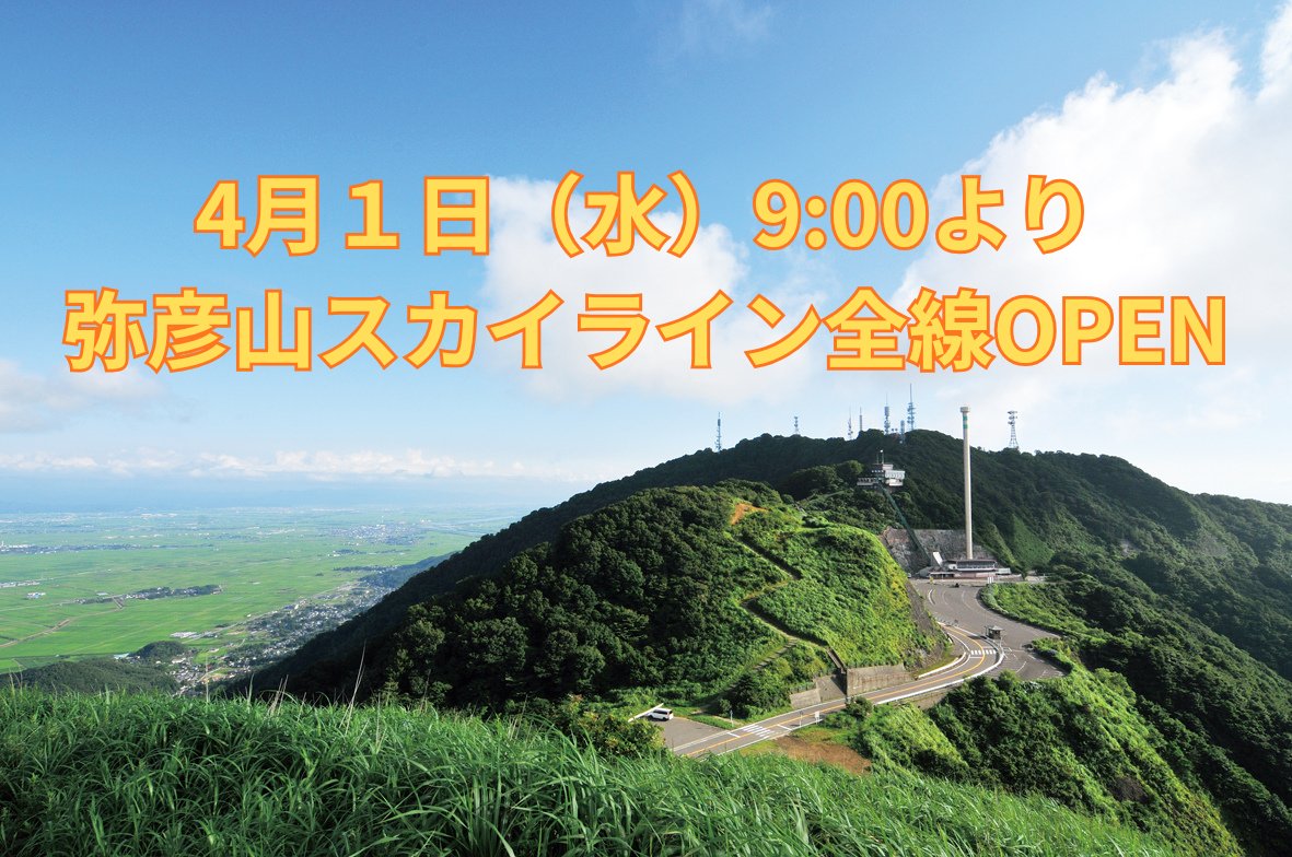 ミコぴょん＠弥彦観光協会公式 tweet media