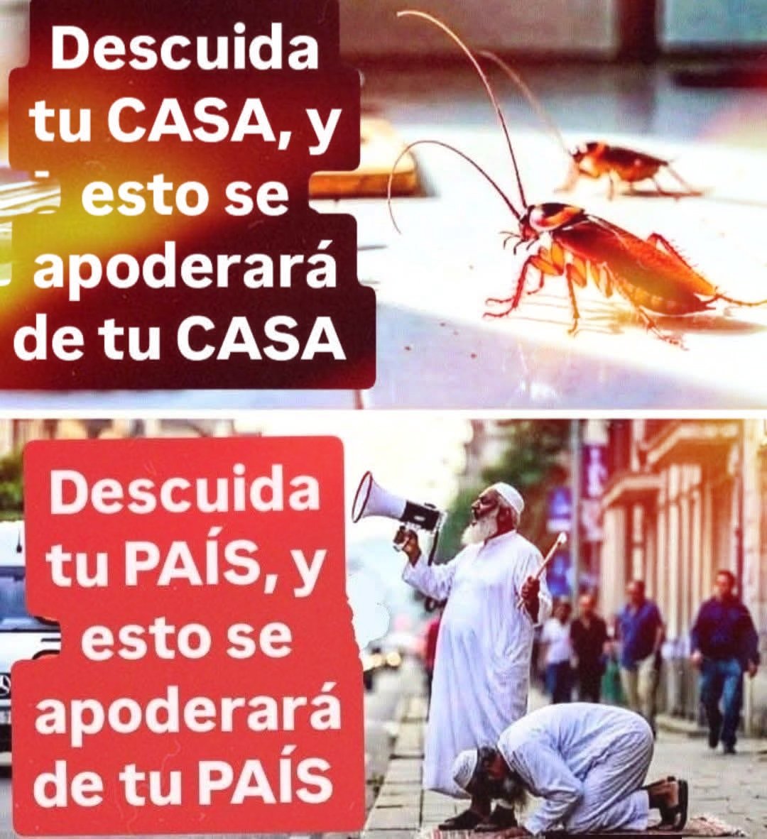 🇪🇸 🆂🅰🅽🆃🅸 🇨🇭 🅶🆄🅸🆁🅸 🇪🇸 tweet media