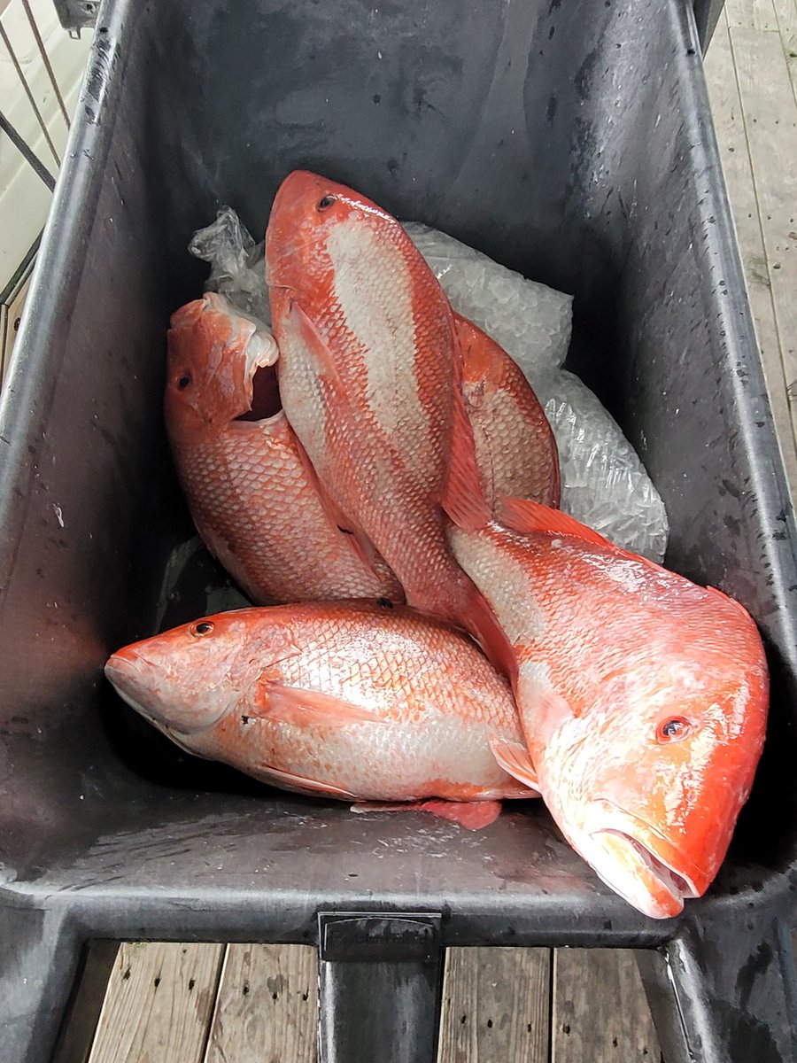 DoubleChiliCheese tweet media