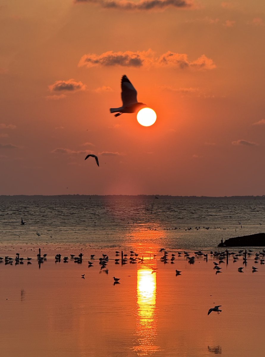 jmspht's tweet image. บางปู สมุทรปราการ 
เมื่อวาน แสงสวยมาก
#shotoniphone