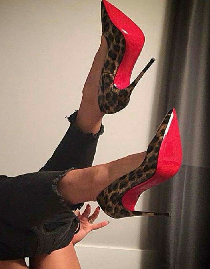 LoubsRed tweet media