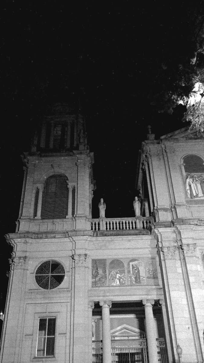 BRUNA CALCANHOTTO GALVÃO ♦ tweet media