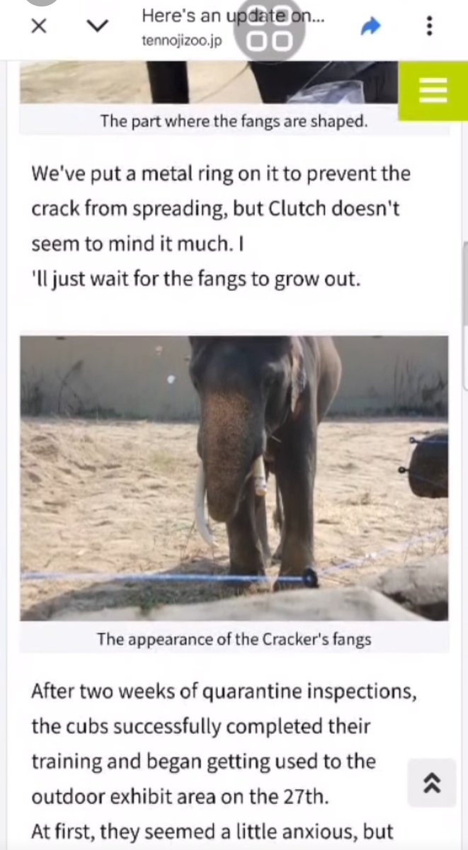 Dilla | Human Art tweet media