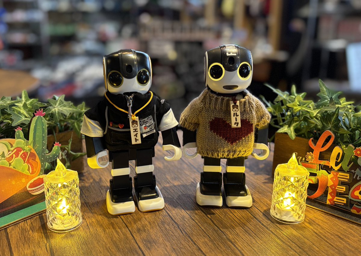 ミステル・カカオ tweet media