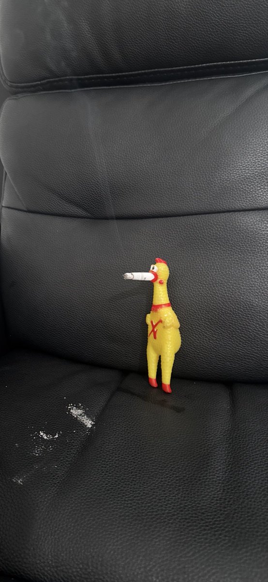 ChicagoB7plus's tweet photo. @juumelo_ Yeah you say that now.. just wait until it burns a hole in the furniture like my pain in the ass chicken did. https://t.co/fz3WjJDdsc