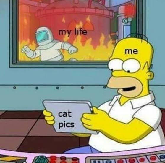 No Cats No Life tweet media
