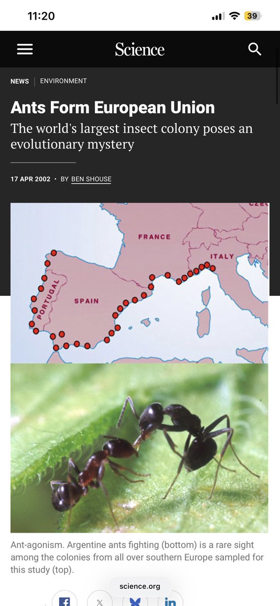 Visa is doing marketing consults (see pinned!) tweet media