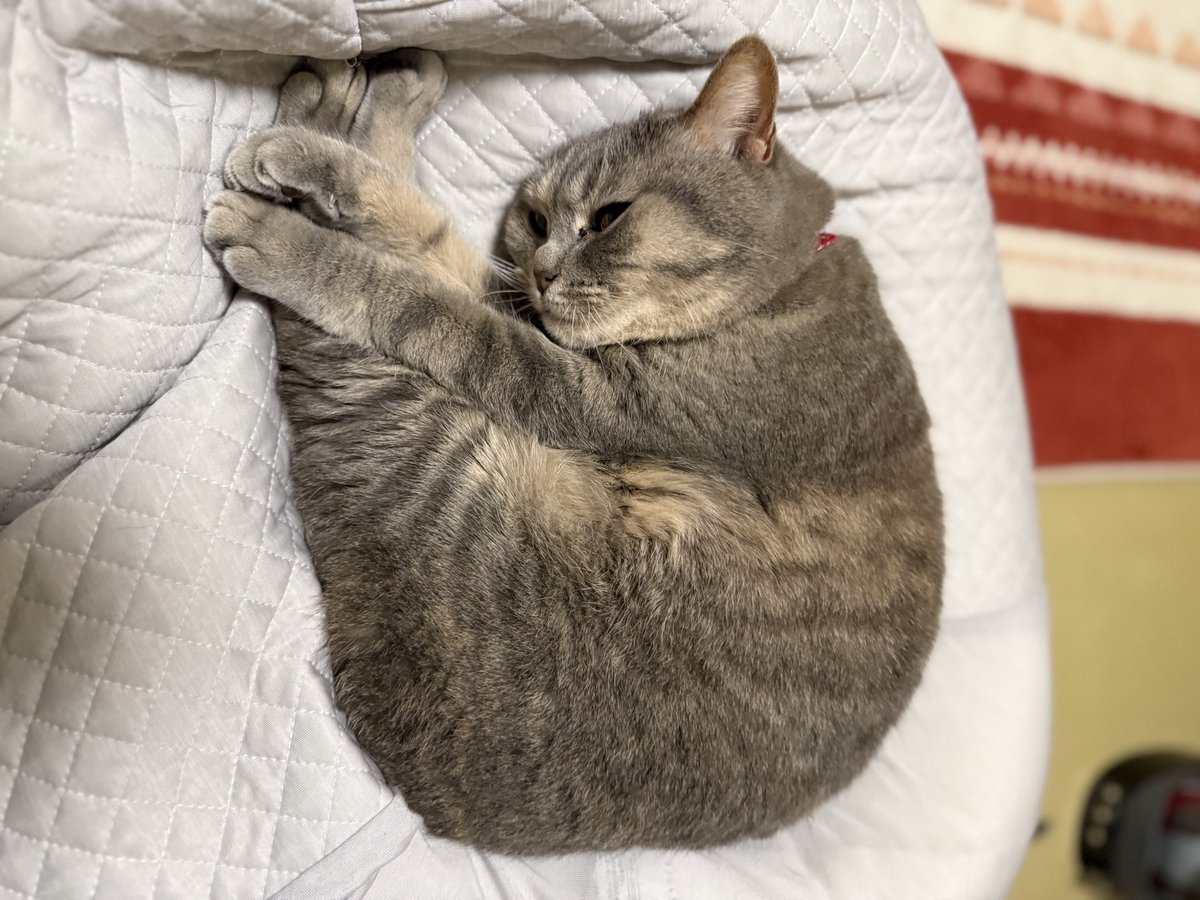 simanto工房 tweet media