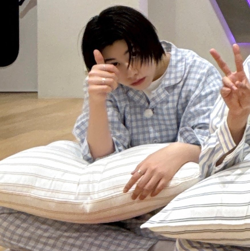 loucy🐘🎀 tweet media