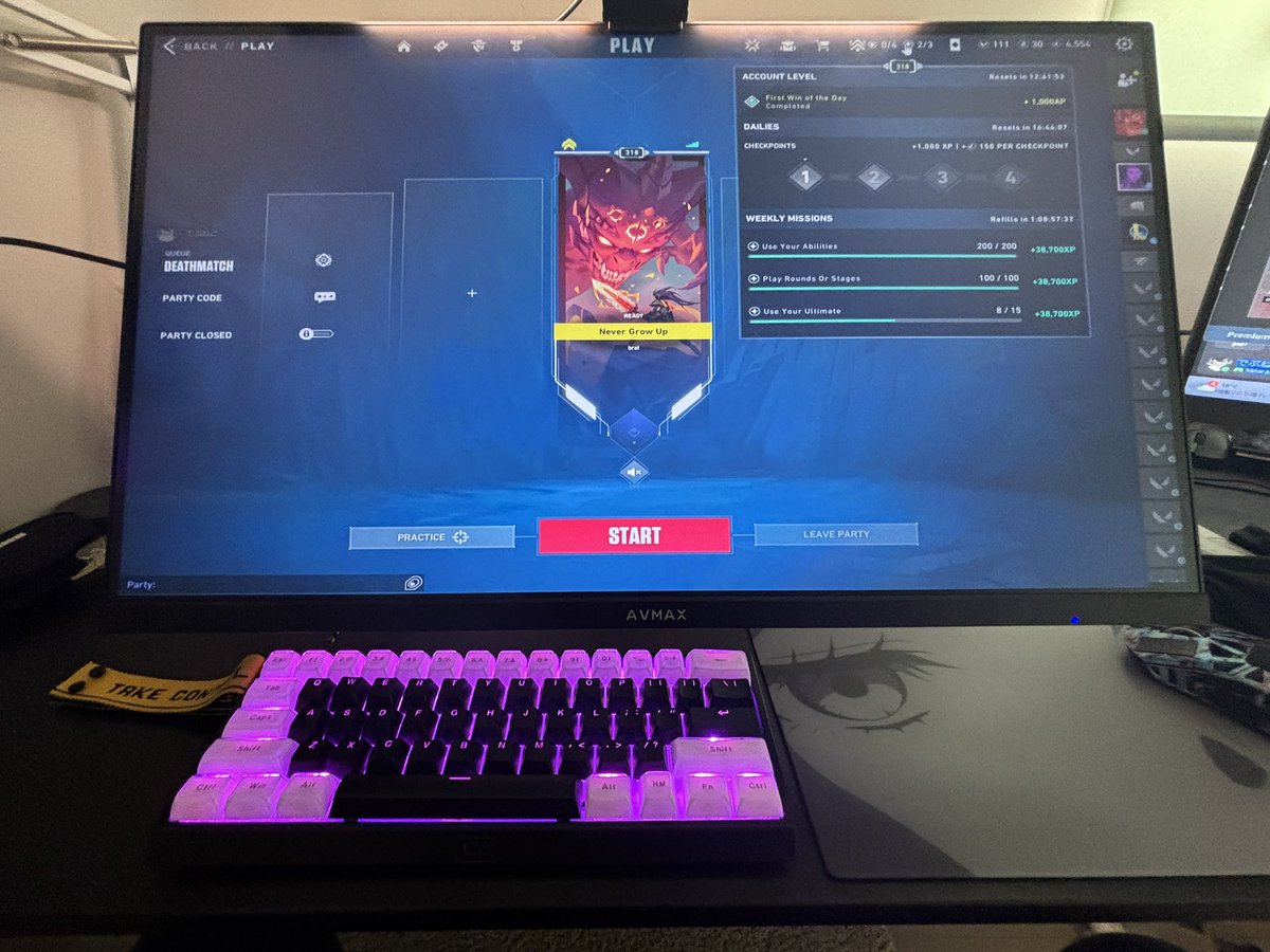 Reo/でぶねこ tweet media