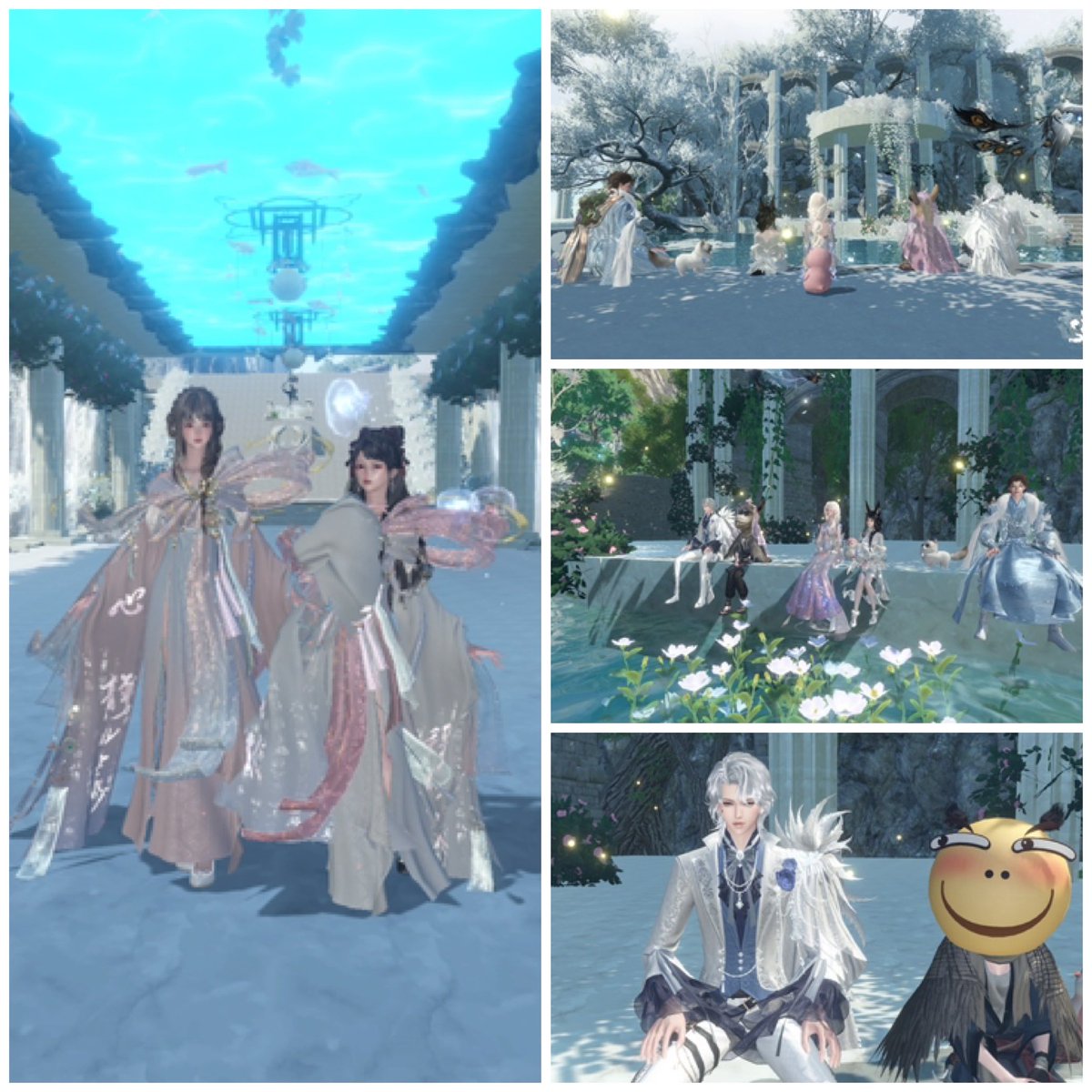 ぬぅ(っ`ᵕ´c） tweet media