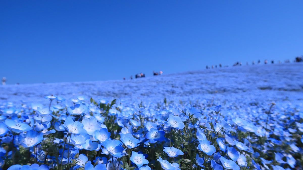 イベントチェッカー製作委員会 tweet media