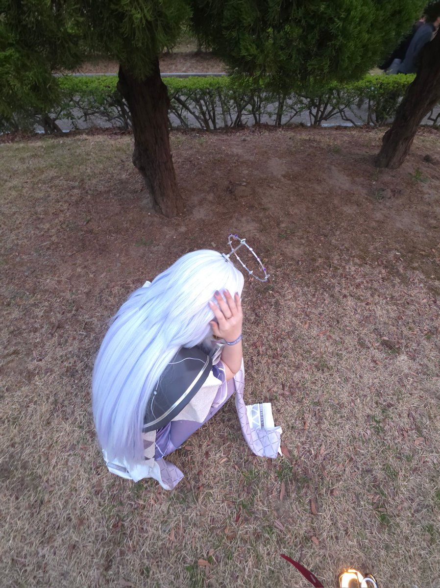 레노키🐬 (트친소 tweet media