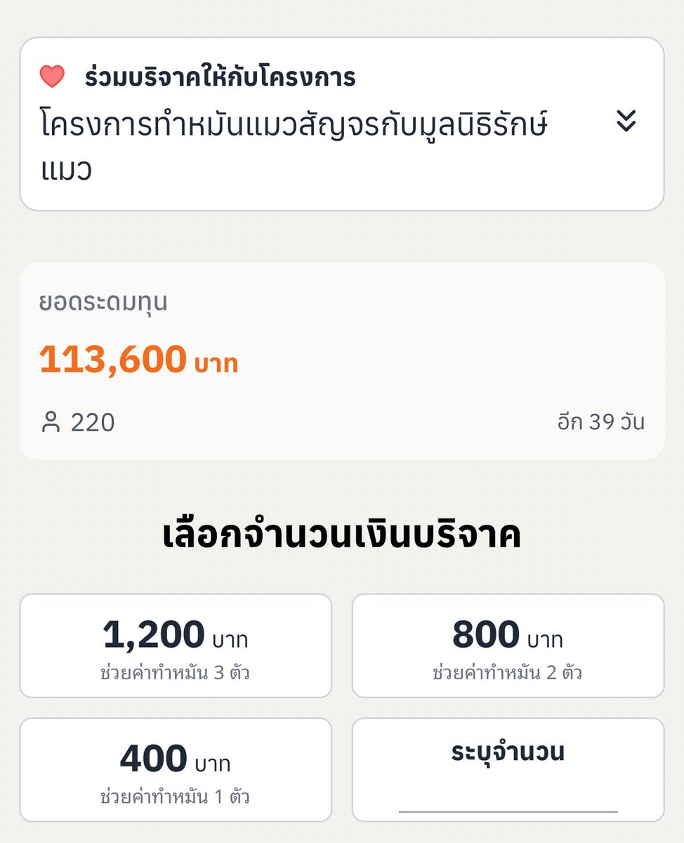 muffinp🧁 tweet media