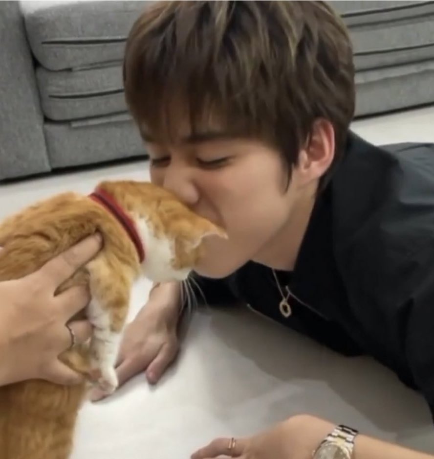 muffinp🧁 tweet media