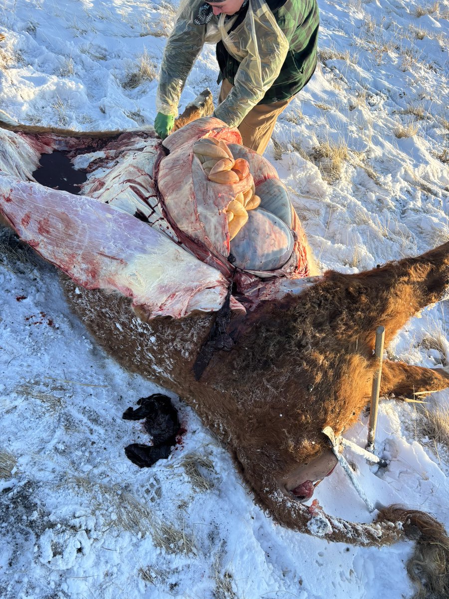 Kevin Booth tweet media