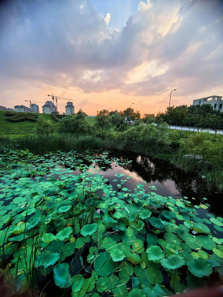 Trinity seay tweet media