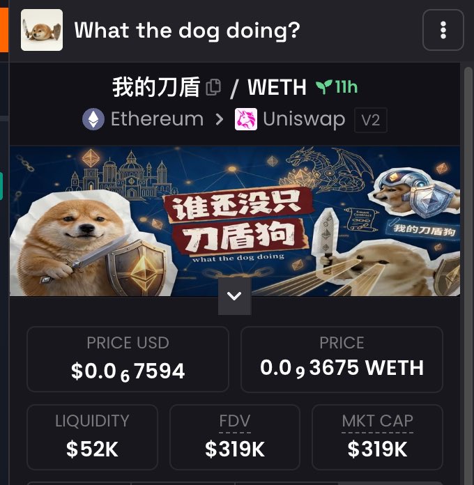 What the dog doing？我的刀盾 tweet media