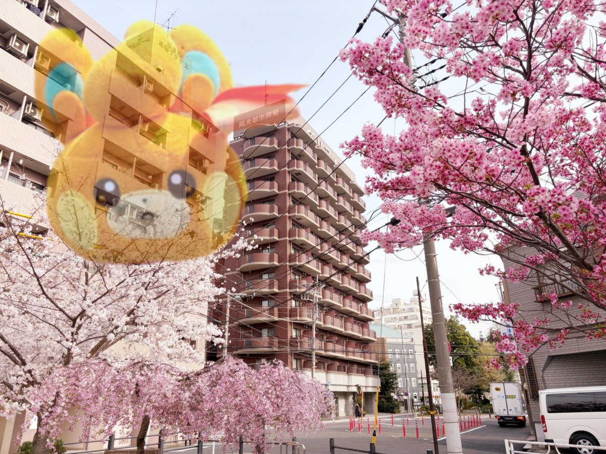 パ散歩録 tweet media