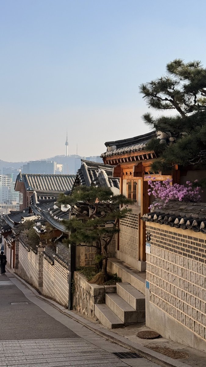 Caleb Franzen tweet media