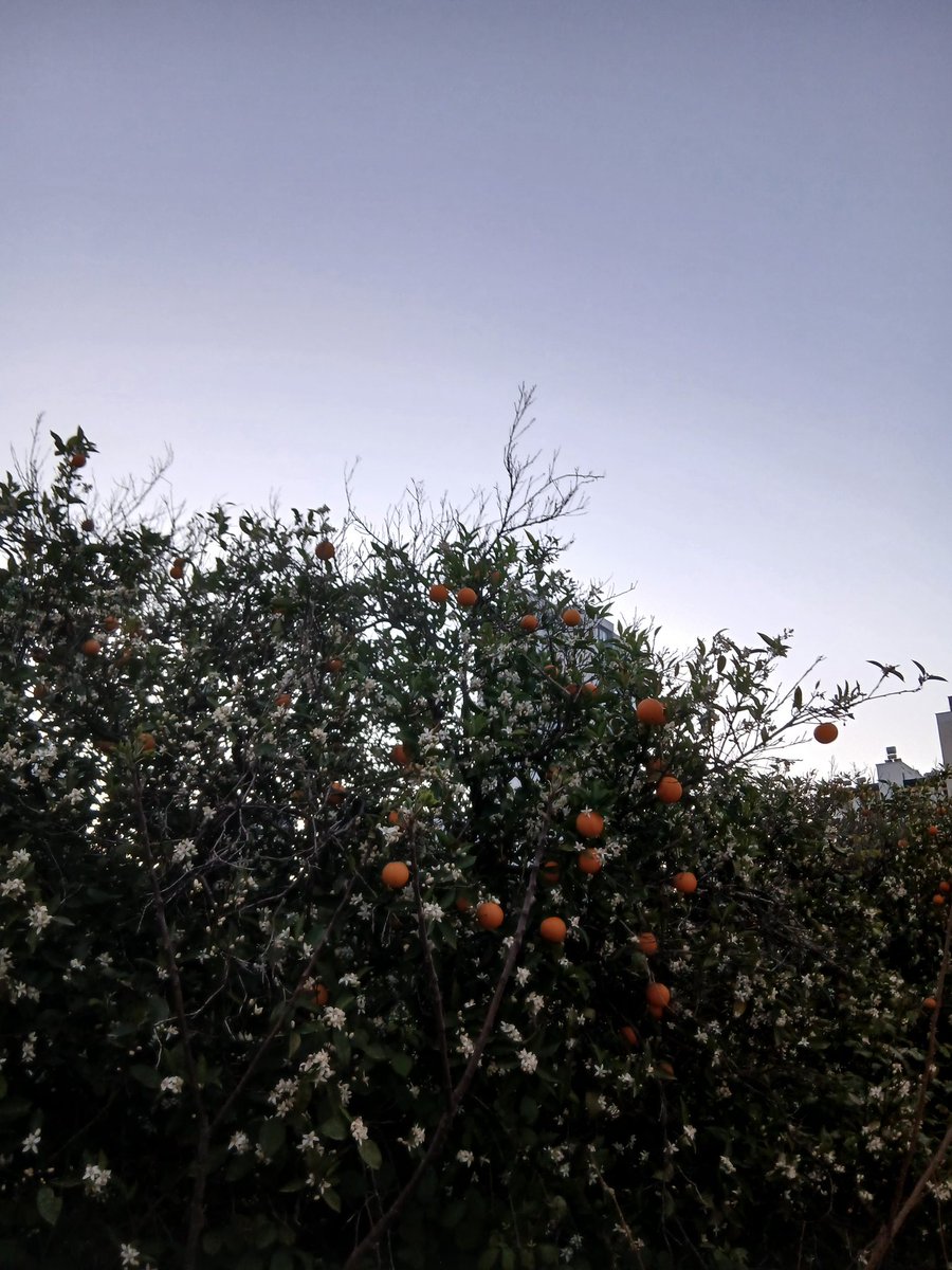 Günaydıııın (sabah yürüyüşü yapıldı)