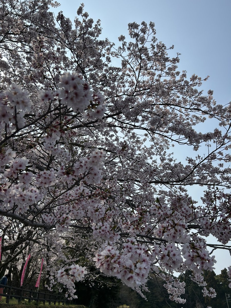 ABC富士弥生通り店【パチンコ＆スロット】 tweet media