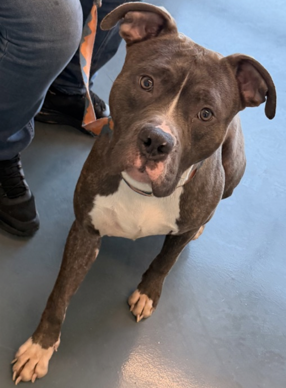 Tootsismyname🏴‍☠️ tweet media