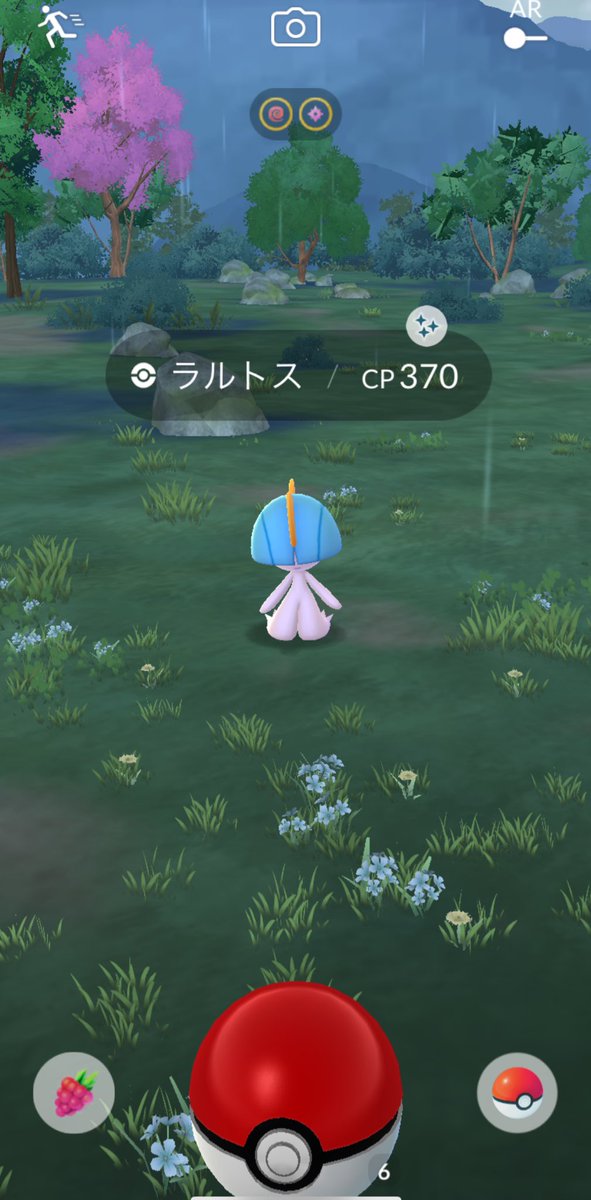 金シャチ学園の謎の転入生 tweet media