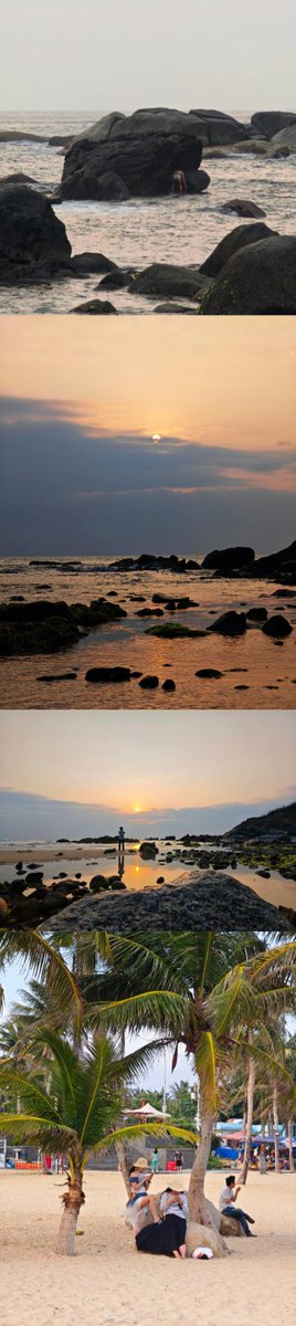 遗憾——这次没捡到大贝壳
下次有时间试试陵水赶海 ​～😅

#海南自贸港 #海南