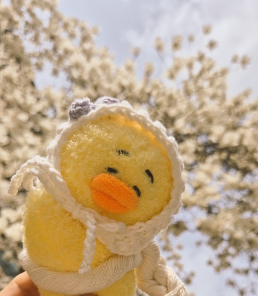 탬꿍댕 tweet media