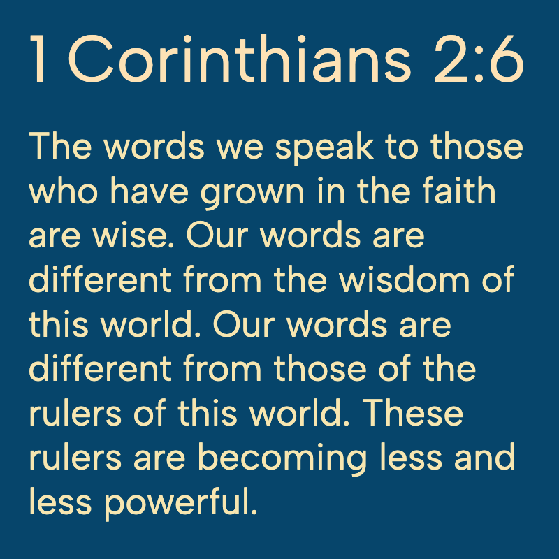 Daily Bible tweet media