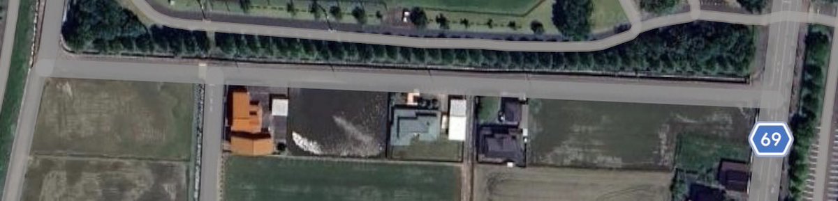 バブルガムフェロー tweet media