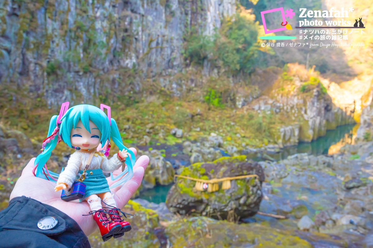 ゼナファ* tweet media